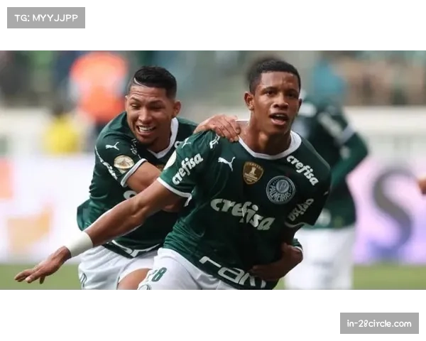 巴甲争冠格局渐明 弗拉门戈与帕尔梅拉斯形成第一集团