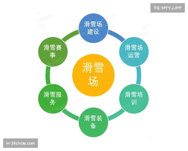 维尼修斯商业运作见效 艾华卡赞助收入翻倍增长